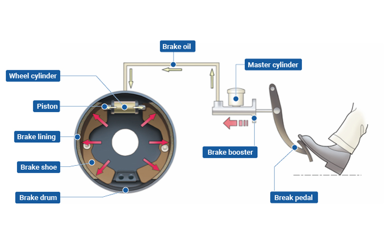 What does a brake shoe do?cid=4